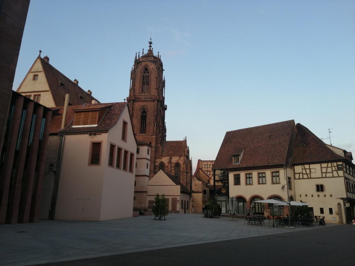 Magnifique Gite Plein Centre De Sélestat Kültér fotó